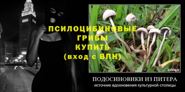 apvp Алексин