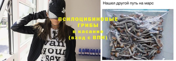 apvp Алексин